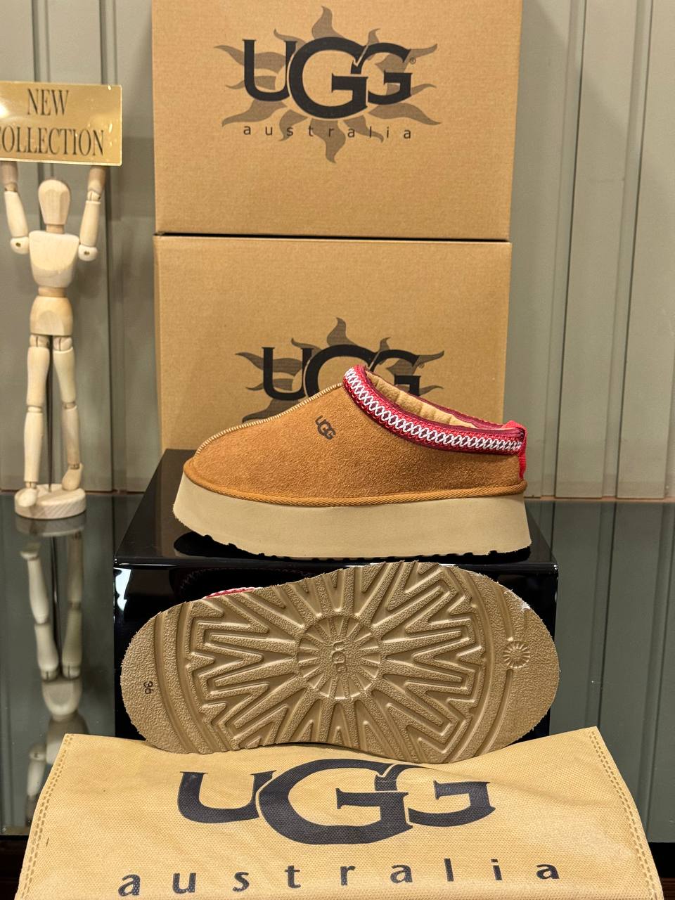 Ugg Tazz Ταμπα