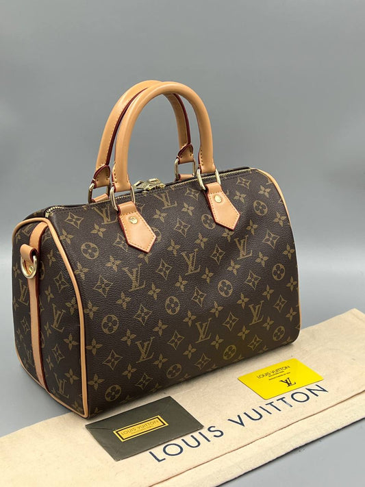 Louis Vuitton Speedy Monogram 30 cm