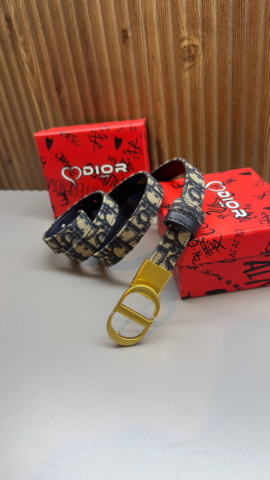 Christian Dior Belt Canvas